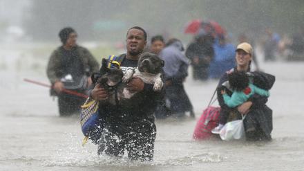 Isiah Courtney trägt seinen Hund Bruce in Beaumont Place bei Houston durchs Wasser.
