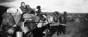 Eine Familie sitzt auf einem Pferdekarren, der mit Gepäck beladen ist.