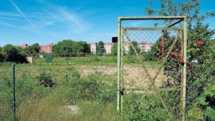 Bedrohtes Gebiet: Hartnäckig haben die Kleingärtner der Laubenkolonie Oeynhausen in Berlin-Wilmersdorf um ihre Schollen gekämpft. Trotz Schutzstatus entstehen auf einem Teilstück des Geländes jetzt 973 neue Wohnungen. 