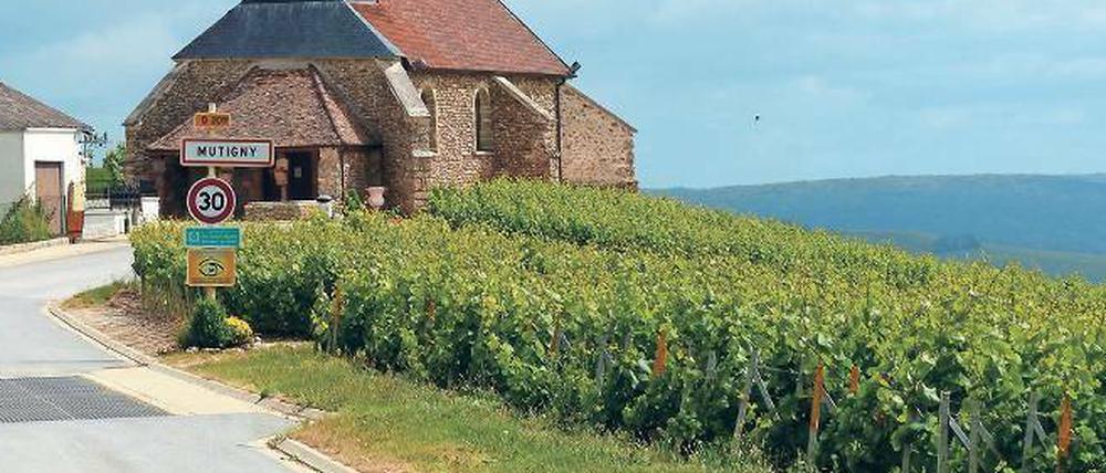 Dorf Mutigny an der Marne. In der Champagne stehen jahrhundertealte Kirchen neben endlosen Rebstockreihen.