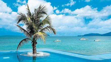Paradiesisch. Palme, Pool und Meer – davon träumen viele Urlauber. Doch nicht immer hält die Wirklichkeit, was im Katalog versprochen wurde. 