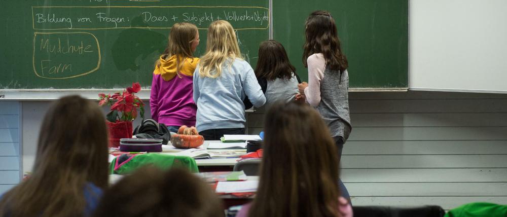 Der geringe Überblick erschwert die Suche nach einem Ausbildungs- oder Studienplatz. 