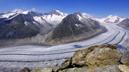 Blick vom Eggishorn auf den Aletschgletscher. 