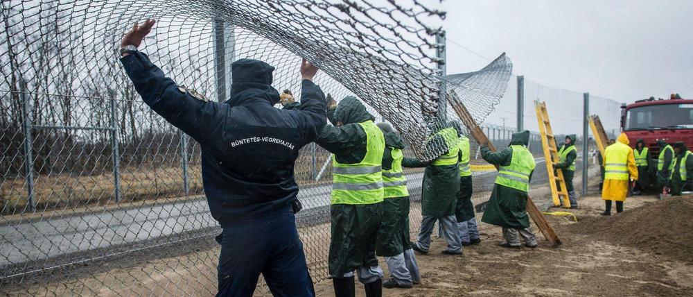 Strafgefangene und ein Aufseher bauen im März 2017 nahe Kelebia, 178 km südöstlich von Budapest (Ungarn), einen zweiten Zaun hinter dem ersten Grenzzaun zwischen Ungarn und Serbien.