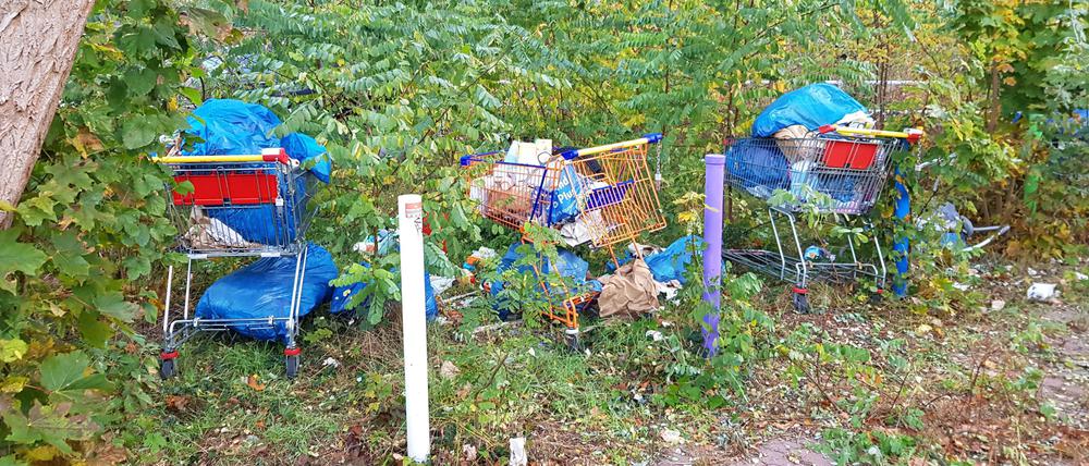 Ein Einkaufswagen.