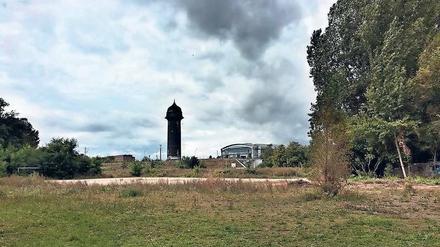Zu bebauende Brache an Ostkreuz und Rummelsburger See.