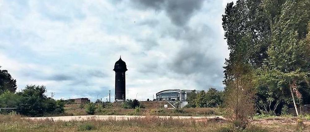Zu bebauende Brache an Ostkreuz und Rummelsburger See.