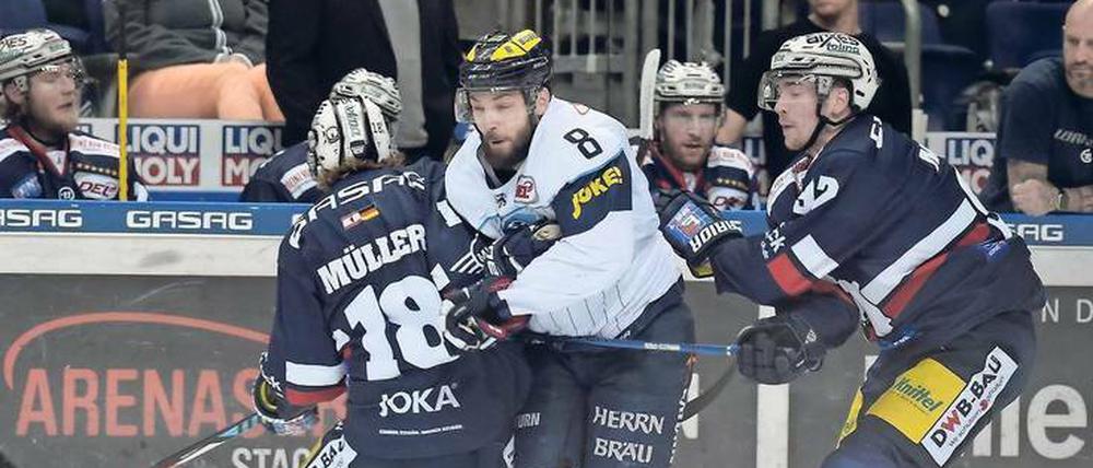 Thomas Oppenheimer, 28, wechselte vor dieser Saison zu den Eisbären. Der Außenstürmer (Mitte, im Trikot des ERC Ingolstadt) spielte zuletzt in Hamburg und Ingolstadt. Als Nationalspieler nahm er 2014 an der WM in Weißrussland teil. 