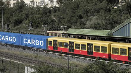 Der Senat untersucht, ob die Berliner S-Bahn auch Güter transportieren könnte.