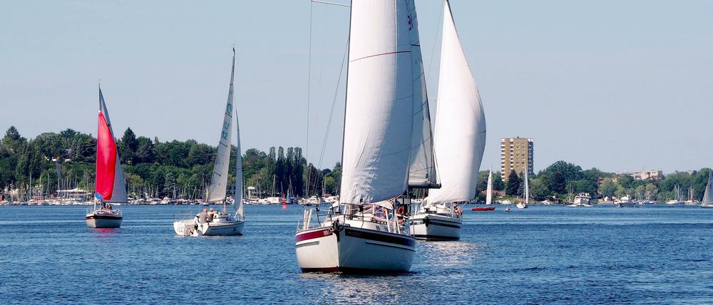 Schönes Fleckchen in Berlin: die Havel und ihre Uferwege.