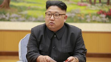 Warnung an die Welt: Nordkoreas Machthaber Kim Jong Un