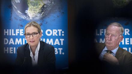 Demnächst aller Voraussicht nach im Bundestag: Die AfD mit ihren Spitzenleuten Alice Weidel und Alexander Gauland. Unter welcher Adresse die neue Fraktion im Netz zu finden sein wird, ist noch unklar. 