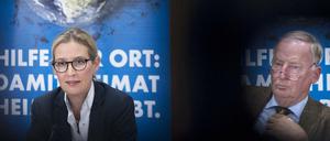 Demnächst aller Voraussicht nach im Bundestag: Die AfD mit ihren Spitzenleuten Alice Weidel und Alexander Gauland. Unter welcher Adresse die neue Fraktion im Netz zu finden sein wird, ist noch unklar.