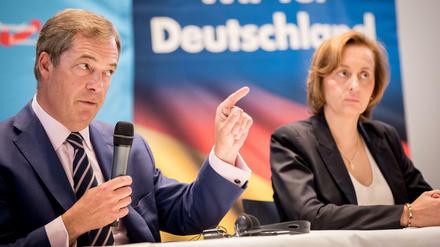 Sie kennen sich schon lang: Nigel Farage und Beatrix von Storch.