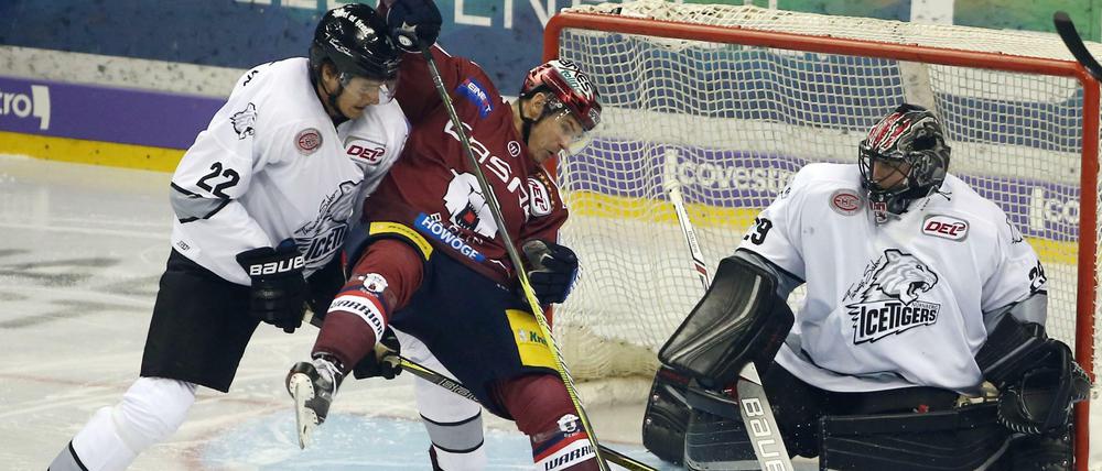 In die Saison gestolpert. Martin Buchwieser (Mitte) und die anderen neuen Eisbären-Profis hatten Probleme.