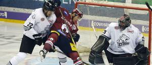 In die Saison gestolpert. Martin Buchwieser (Mitte) und die anderen neuen Eisbären-Profis hatten Probleme.