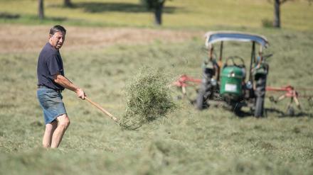Mistgabel und Minitrecker - so kann Landwirtschaft auch aussehen, aber wo sieht man das noch? 