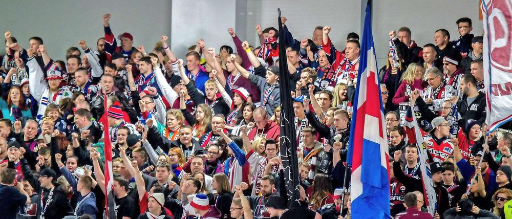 Auswärtsheimspiel. Gerade nach Wolfsburg ist es für die Eisbären ja nicht weit.