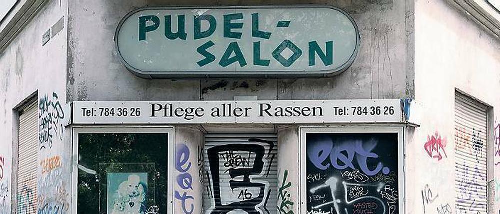 Der Pudel-Salon hatte wohl in den 60er- und 70er-Jahren seine Hochzeit.