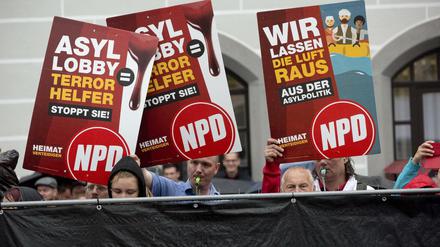 NPD-Aktivisten bei einem Wahlkampfauftritt von Kanzlerin Angela Merkel Anfang September im sächsischen Torgau.  