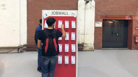 Rund 400 Ausbildungsangebote hängen an der „Jobwall“.