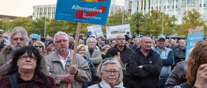 Wahlkampfkundgebung der AfD in Magdeburg.