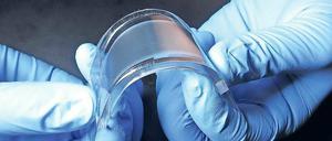 Cool. Mithilfe einer speziellen Kunststofffolie haben Materialforscher eine besonders flexible, raumsparende und schnelle Methode zur Kühlung von Smartphone-Akkus entwickelt.