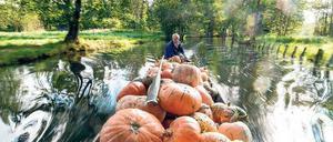 Dicke Dinger. Auch im Herbst hat der Spreewald seine Reize – nicht nur wegen der Kürbisernte mit Kahn. 