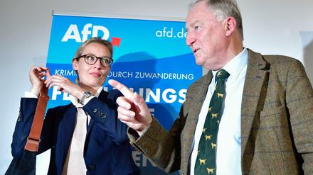 Im Rathaus Zehlendorf ist eine AfD Wahlkampfveranstaltung eskaliert. 