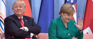 US-Präsident Donald Trump und Angela Merkel könnten sich womöglich auch künftig wieder auf Gipfelveranstaltungen treffen.