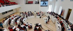 Der Landtag in Brandenburg beschäftigte sich mit einem AfD-Antrag zur Streichung von queeren Projekten.