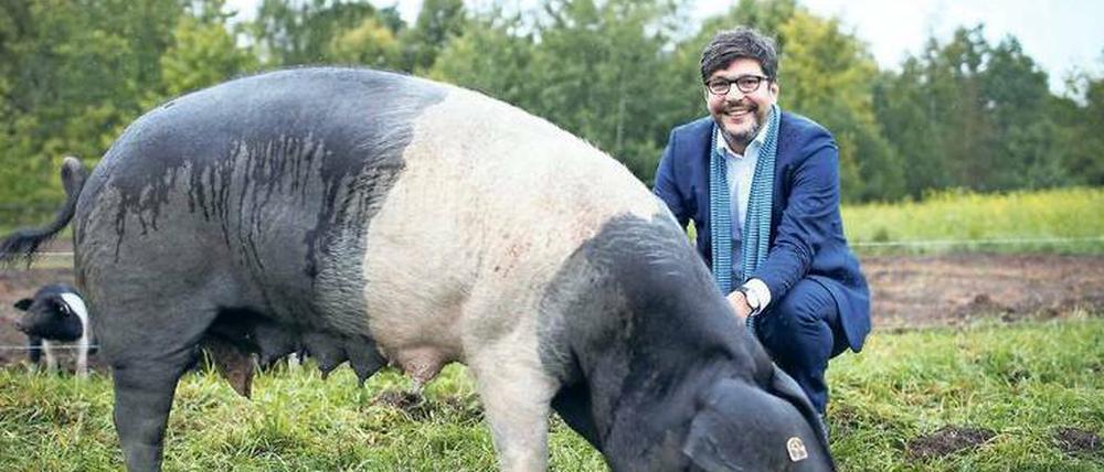 Sauwohl. Senator Dirk Behrendt zu Besuch beim Sattelschwein auf der Domäne Dahlem.