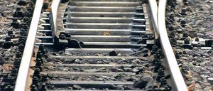 Übergangslösung. Langfristig soll ein Ausbau der Stammstrecke die Anbindung zwischen Potsdam und Berlin verbessern.