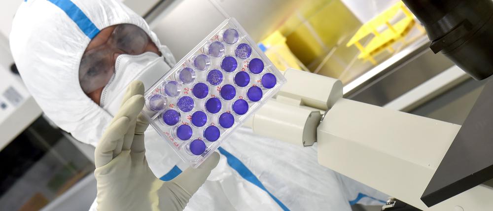 In einem Labor wird das Coronavirus erforscht.