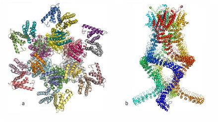 Blick in den Nanokosmos der Biomoleküle. Möglich gemacht durch Kryo-Elektronenmikroskopie.