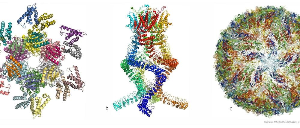 Blick in den Nanokosmos der Biomoleküle. Möglich gemacht durch Kryo-Elektronenmikroskopie.