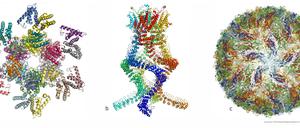 Blick in den Nanokosmos der Biomoleküle. Möglich gemacht durch Kryo-Elektronenmikroskopie.