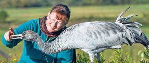 Vogelfrei. Beate Blahy zieht Kranich „Charly“ in der Uckermark auf.
