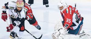 Zweiter Sieger: Zum Heimauftakt verlor der ECC Preussen trotz starker Leistung von Goalie Olafr Schmidt 0:1 gegen Erfurt.