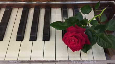 Romantik? Von wegen. Die Geschichte in dem Band „L’amour toujours, toujours l’amour?“ behandeln das intimste aller Gefühle am liebsten aus einer gewissen Distanz.