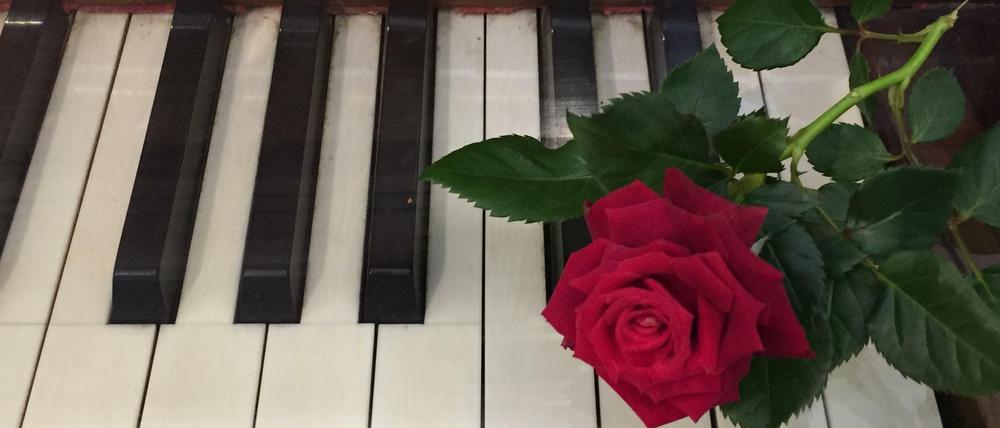 Romantik? Von wegen. Die Geschichte in dem Band „L’amour toujours, toujours l’amour?“ behandeln das intimste aller Gefühle am liebsten aus einer gewissen Distanz.