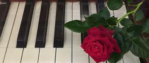 Romantik? Von wegen. Die Geschichte in dem Band „L’amour toujours, toujours l’amour?“ behandeln das intimste aller Gefühle am liebsten aus einer gewissen Distanz.