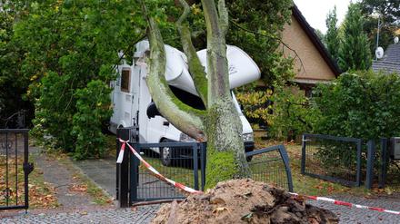 Ein umgekippter Baum hat in Berlin ein Wohnmobil getroffen.