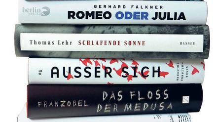 Engere Auswahl. Diese Bücher haben es auf die Shortlist 2017 geschafft.