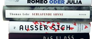 Engere Auswahl. Diese Bücher haben es auf die Shortlist 2017 geschafft.