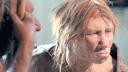 Ebenbild. Die Neandertaler haben den heutigen Menschen manches vererbt. Ob sie allerdings rote Haare hatten, wie in der Rekonstruktion einer Neandertalerin im Neanderthal-Museum bei Mettmann, ist nach neuen Analysen eher fraglich. 