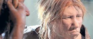 Ebenbild. Die Neandertaler haben den heutigen Menschen manches vererbt. Ob sie allerdings rote Haare hatten, wie in der Rekonstruktion einer Neandertalerin im Neanderthal-Museum bei Mettmann, ist nach neuen Analysen eher fraglich.