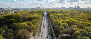 Park und Problemfall: der Tiergarten im Herzen der Stadt, durchschnitten von der Straße des 17. Juni.