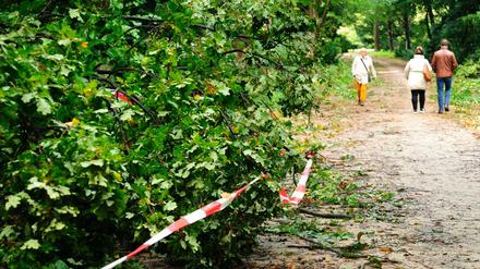 Wohin des Wegs? Im Tiergarten fühlen sich viele nicht mehr sicher.  