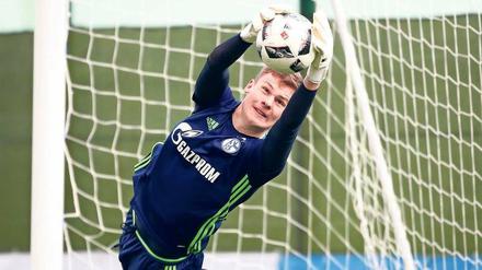 Alexander wer? Nübel heißt der junge Mann, der sich gerade als Nummer eins bei der U 21 versuchen darf. 